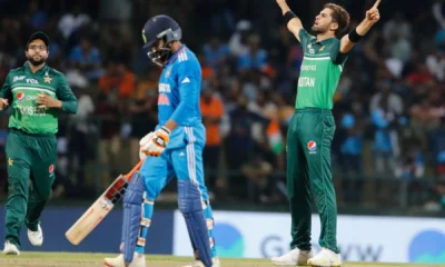 Pakistan Bowlers Celebrate Historic 10-Wicket Haul