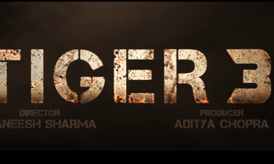 Salman Khan Tiger 3
