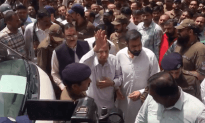 IHC releases Pervez Elahi