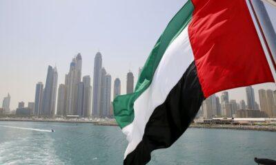 Prime Minister of Pakistan and UAE Leaders Celebrate Historic Economic Partnership